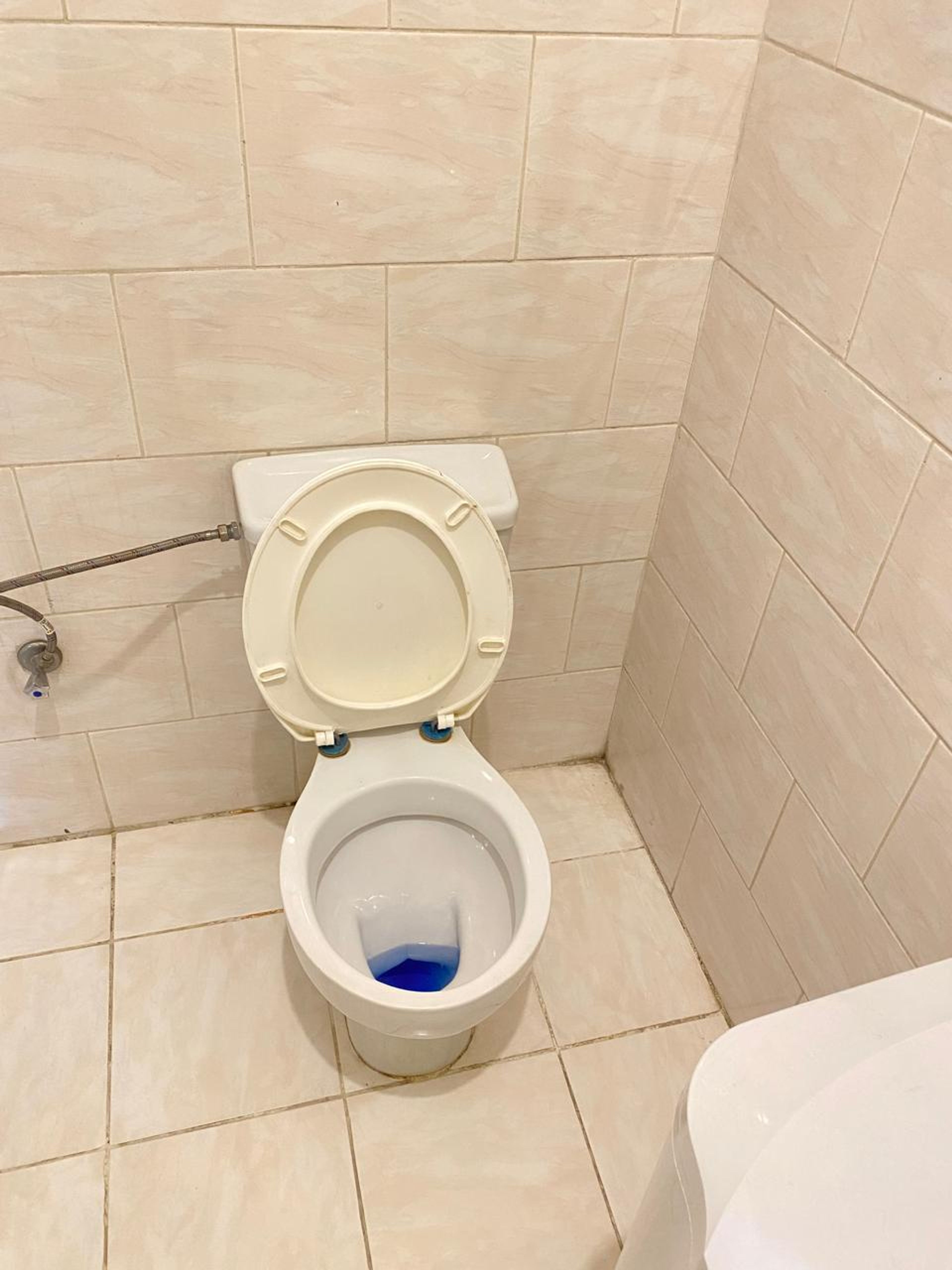 https://img.gathern.co/1024x0/1/y1ihNSBnGRJftZGa5PkiLPcY6suMH2S1.jpg