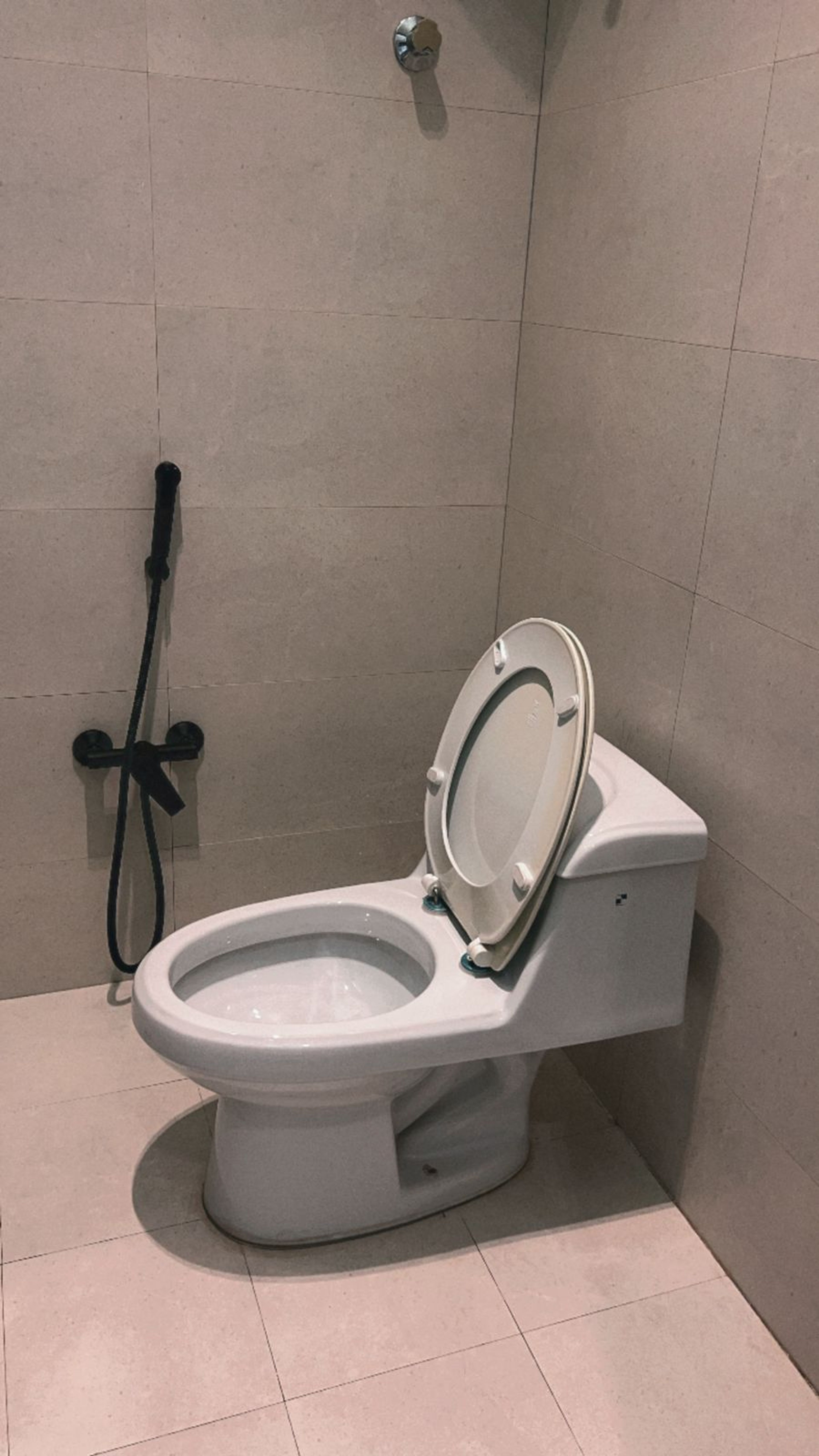 https://img.gathern.co/1400x0/1/y8KYqzSd3HaeNgsdj-Haxgnd9U2Y7jE0.jpg